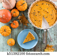 Rotkehlchen Ei Stock Photo Bilder 695 rotkehlchen ei Lizenzfreie Bilder