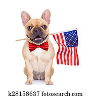 cervato, buldogue francês