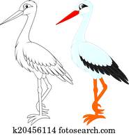Stork