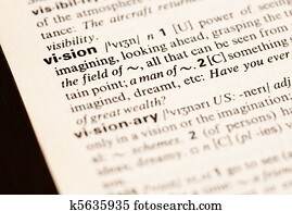 vision vision