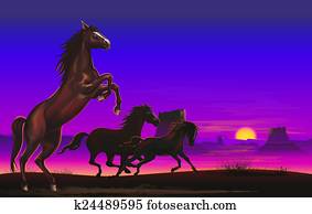 Wild Horses on the Prairie Wild Horses on the Prairie