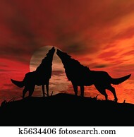 Wolfs Wolfs