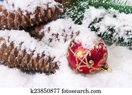 christmas card christmas card