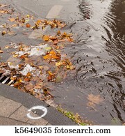 Clogged sewer blocks rainwater runoff