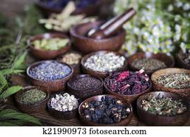 The ancient Chinese medicine The ancient Chinese medicine