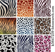 עור של בעל החיים, טקסטורות