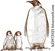 illustration of three king penguins