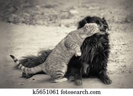Kiss Kiss