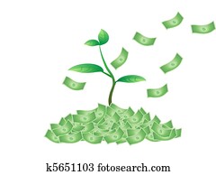 plant growing from the money