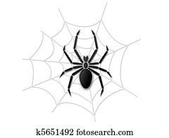Spider and web Spider and web