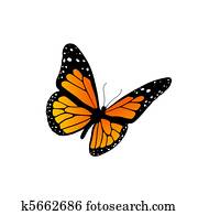 Monarch butterfly Monarch butterfly