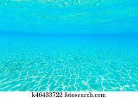 Tranquil underwater scene with copy space Tranquil underwater scene with copy space