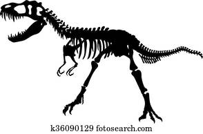 דינו, עצמות, צללית