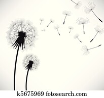 Dandelion Wind Blow Flower Dandelion Wind Blow Flower