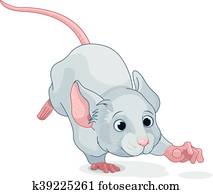 Wonderland Mouse Wonderland Mouse