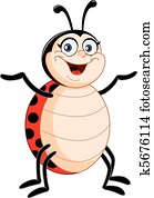 חרק של גברת