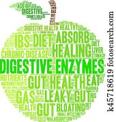 Digestive Enzymes Word Cloud