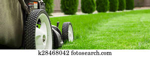 Lawn mower Lawn mower