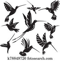 satz, von, silhouetten, fliegen, kolibris satz, von, silhouetten, fliegen, kolibris