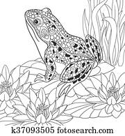 Hand drawn stylized frog Hand drawn stylized frog