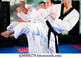 Martial Arts sport training in gym Martial Arts sport training in gym