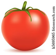 tomato tomato