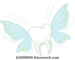 toothy, fliege toothy, fliege