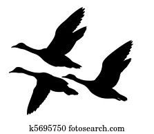vector silhouette flying ducks on white background vector silhouette flying ducks on white background