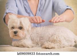 Woman practicing reiki therapy Woman practicing reiki therapy