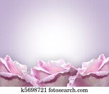 אזובין, ורדים