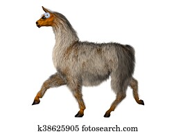 3D Rendering Llama or Lama on White 3D Rendering Llama or Lama on White