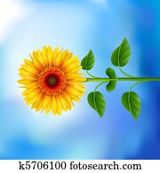 Background with sunflower