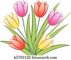 colorful tulips colorful tulips