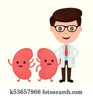 Cute funny smiling doctor and healthy happy kidneys Cute funny smiling doctor and healthy happy kidneys