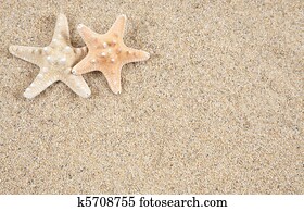 starfish in the beach sand - copy space starfish in the beach sand - copy space