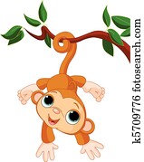 קוף של תינוק, ב, a, עץ