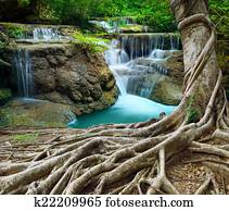 banyan tree and limestone waterfalls in purity deep forest use n banyan tree and limestone waterfalls in purity deep forest use n