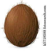 Coconut Coconut