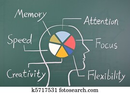 Concept of six ability in human brain