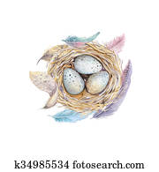 Hand drawn watercolor art bird nest with eggs , easter design. Hand drawn watercolor art bird nest with eggs , easter design.