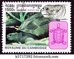 I believe this is a Aldabra Giant Tortoise, Geochelone Gigantea. The stamp is labled megalocheys gigantea which does not exist according to Google. I believe this is a Aldabra Giant Tortoise, Geochelone Gigantea. The stamp is labled megalocheys gigantea which does not exist according to Google.
