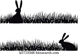 rabbit in grass, vector rabbit in grass, vector