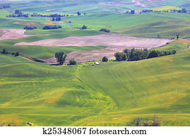 Rolling hills in Washington state