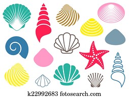 Sea shells Sea shells