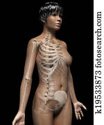 african-american woman african-american woman