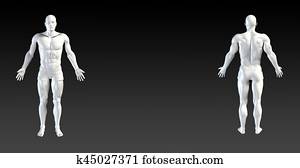 Body System Body System