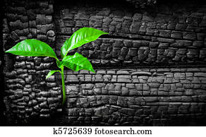 New life concept New life concept