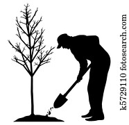 Planting a tree Planting a tree