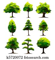 Set of Tree Set of Tree