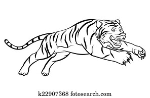 tiger